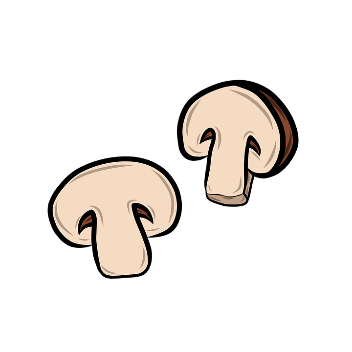 Detail Pilze Symbol Nomer 2
