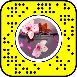 Snapchat Blumen Filter - KibrisPDR