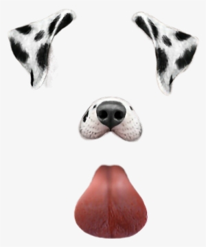 Detail Snapchat Blumen Filter Nomer 15