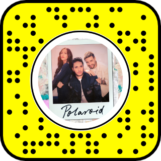 Detail Snapchat Blumen Filter Nomer 9