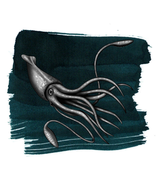 Colossal Squid Ink - KibrisPDR