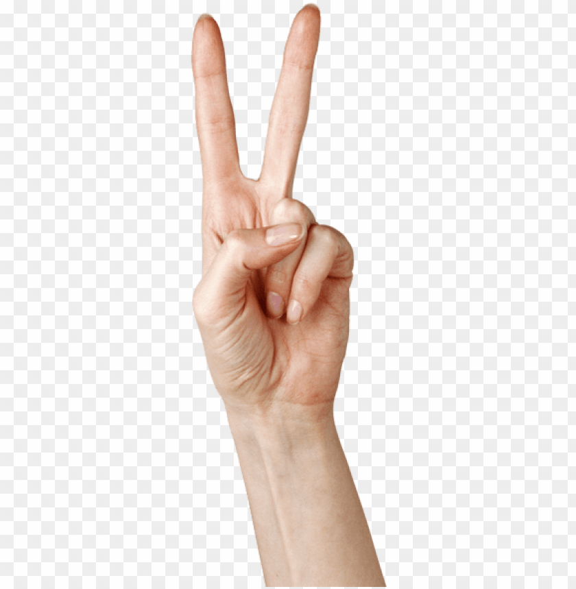Detail Finger Transparent Background Nomer 15