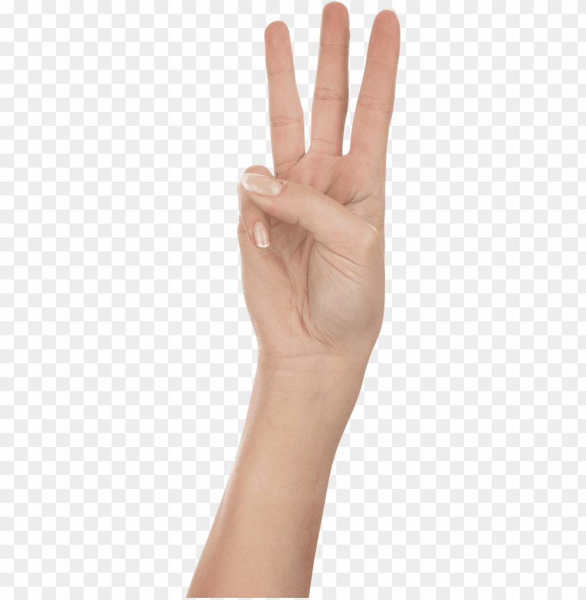 Detail Finger Transparent Background Nomer 16