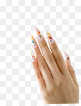 Detail Fingernail Png Nomer 12