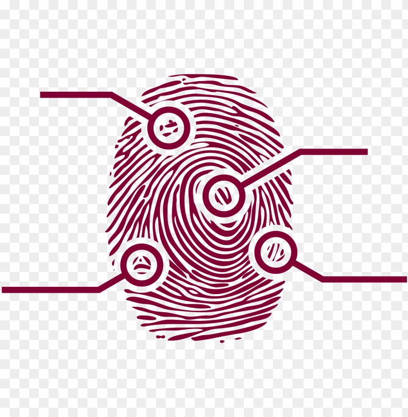 Detail Fingerprint Clipart Free Nomer 15