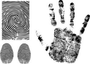 Detail Fingerprint Clipart Free Nomer 17