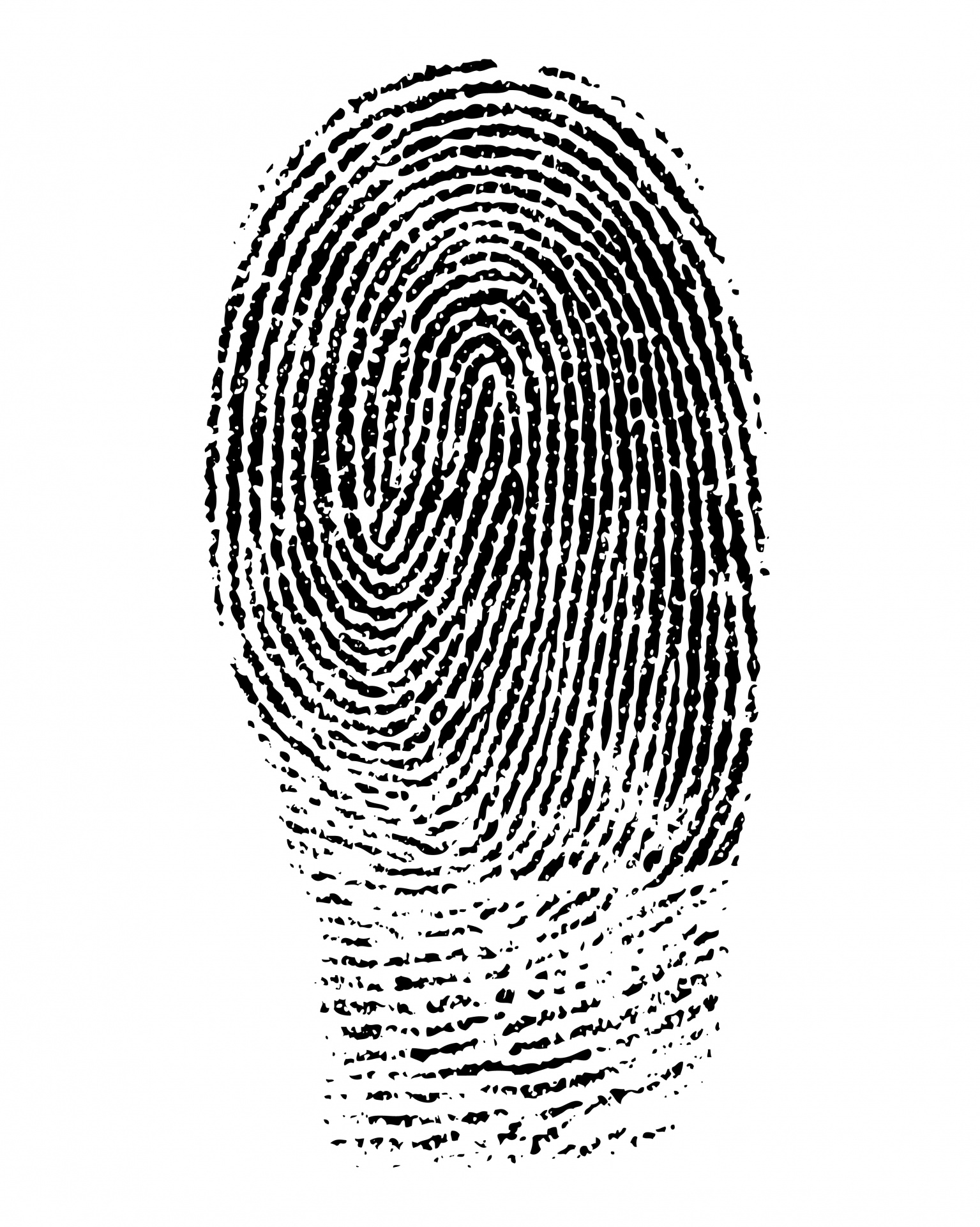 Detail Fingerprint Clipart Free Nomer 3