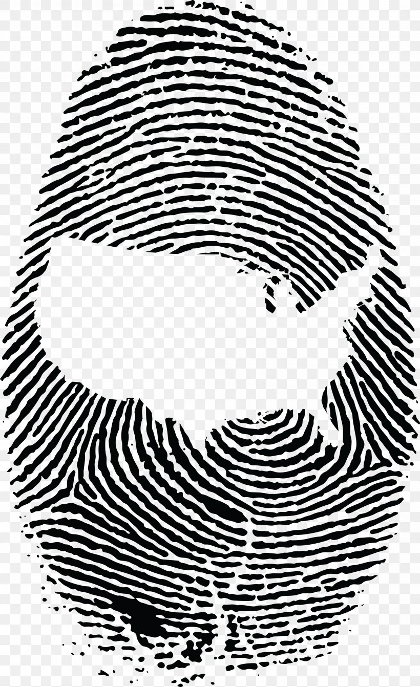Detail Fingerprint Clipart Free Nomer 36