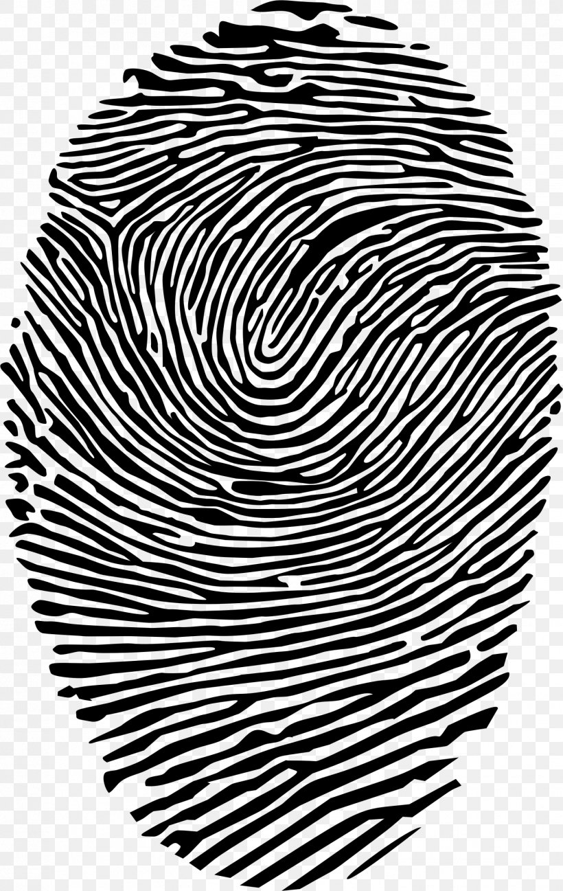 Detail Fingerprint Clipart Free Nomer 39