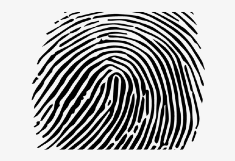 Detail Fingerprint Clipart Free Nomer 47