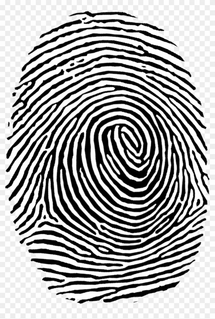 Detail Fingerprint Clipart Free Nomer 7