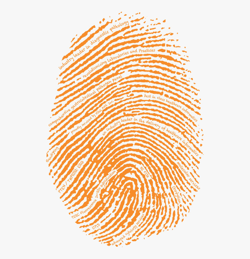 Detail Fingerprint Download Nomer 10