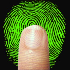 Detail Fingerprint Download Nomer 19