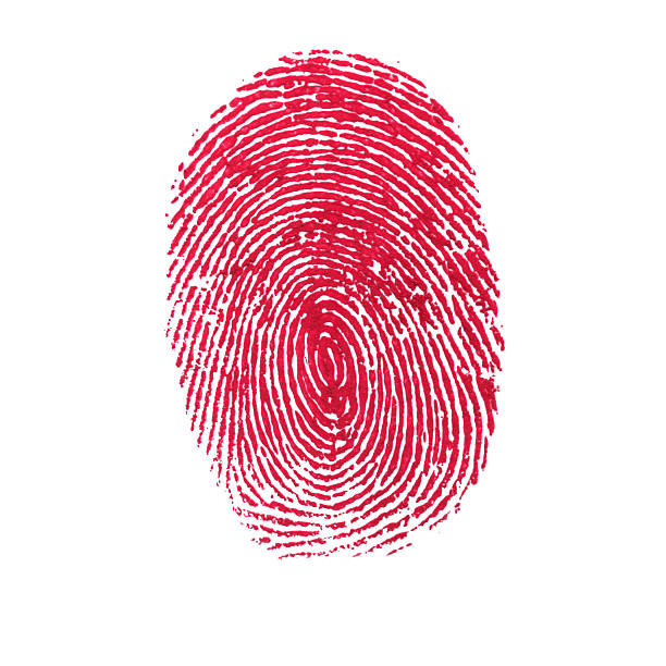 Detail Fingerprint Images Nomer 12