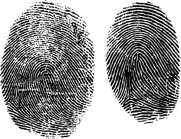 Detail Fingerprint Images Nomer 15