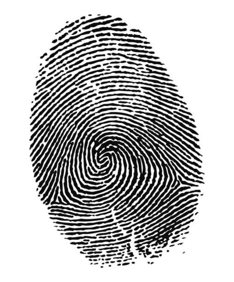 Detail Fingerprint Images Nomer 16