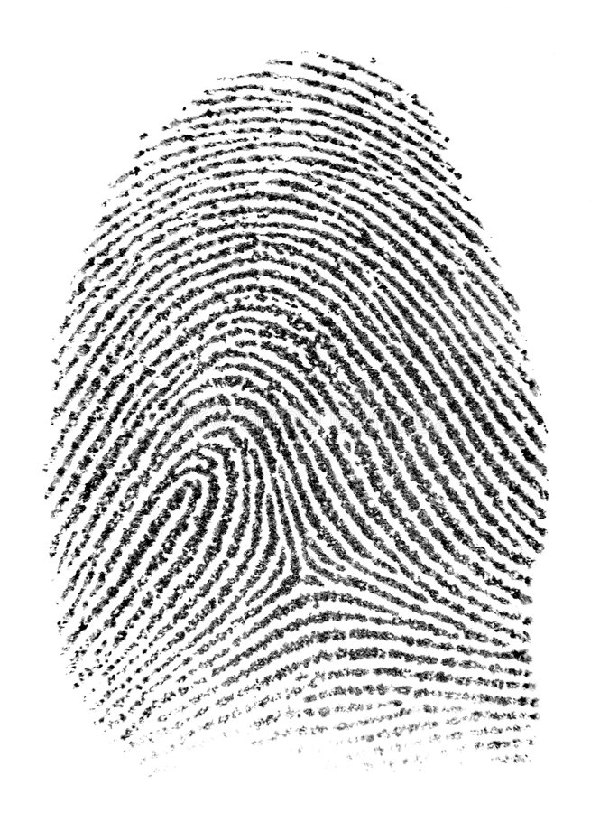 Detail Fingerprint Images Nomer 21