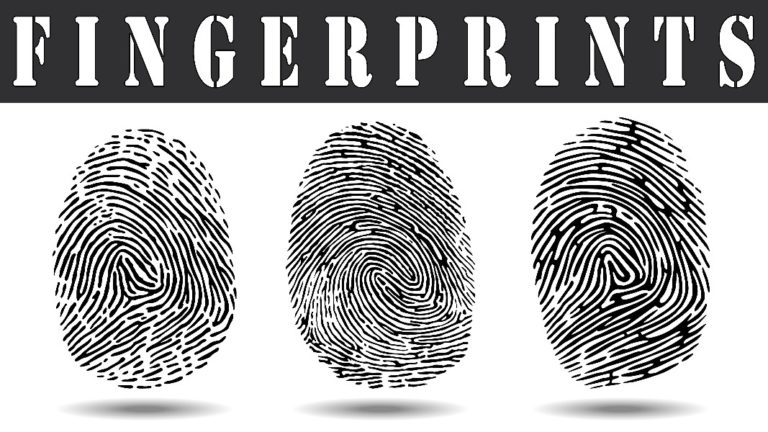 Detail Fingerprint Images Nomer 22
