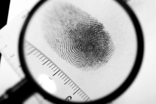 Detail Fingerprint Images Nomer 24