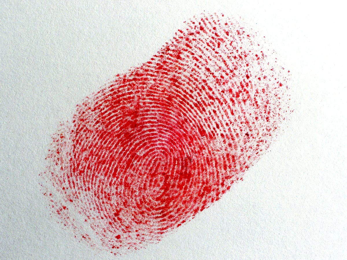 Detail Fingerprint Images Nomer 25