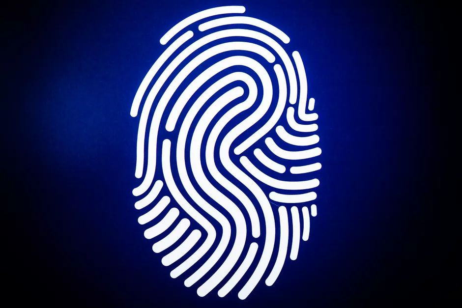 Detail Fingerprint Images Nomer 4