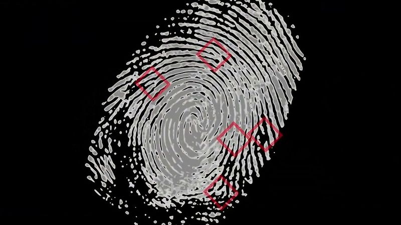 Detail Fingerprint Images Nomer 29