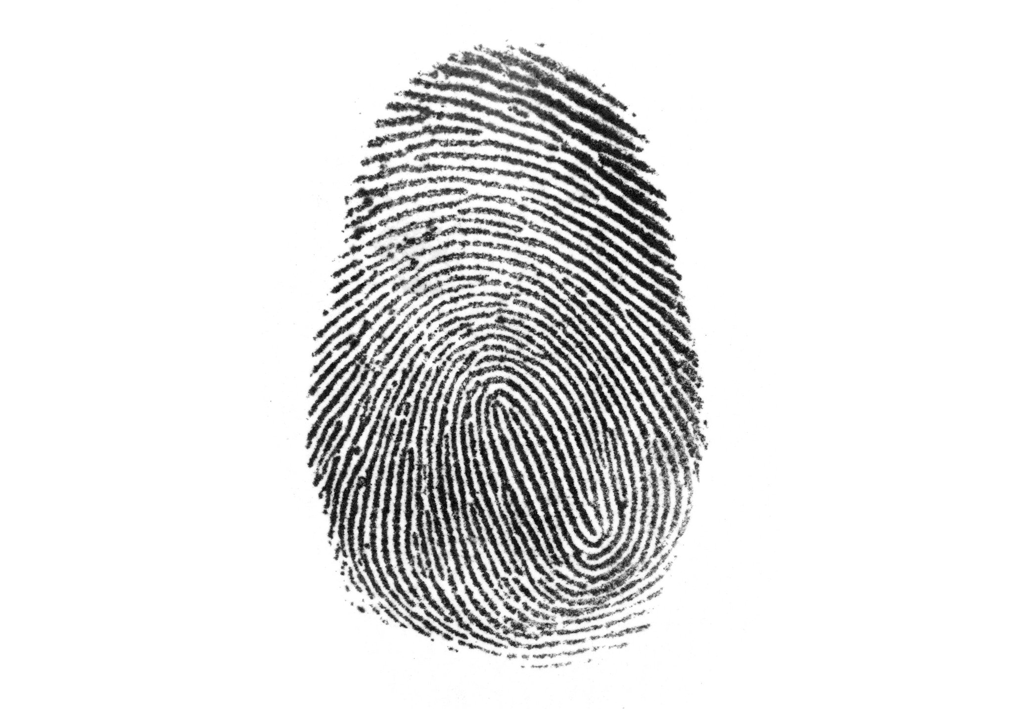 Detail Fingerprint Images Nomer 5