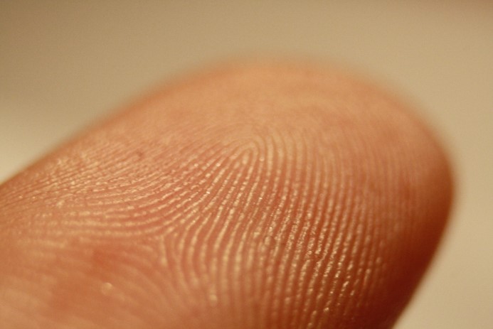 Detail Fingerprint Images Nomer 34