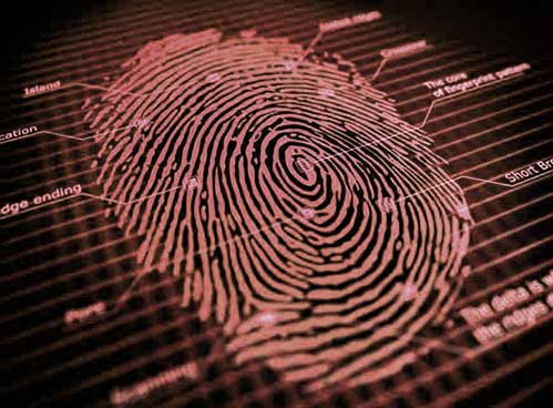 Detail Fingerprint Images Nomer 35