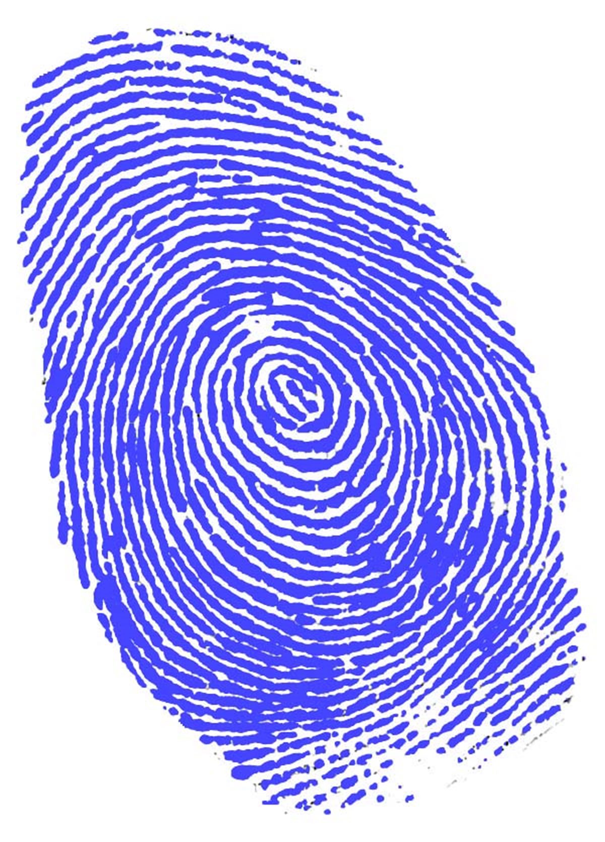 Detail Fingerprint Images Nomer 36