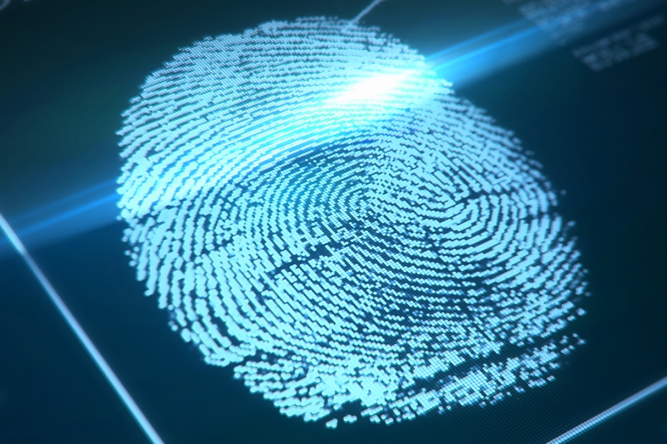 Detail Fingerprint Images Nomer 39