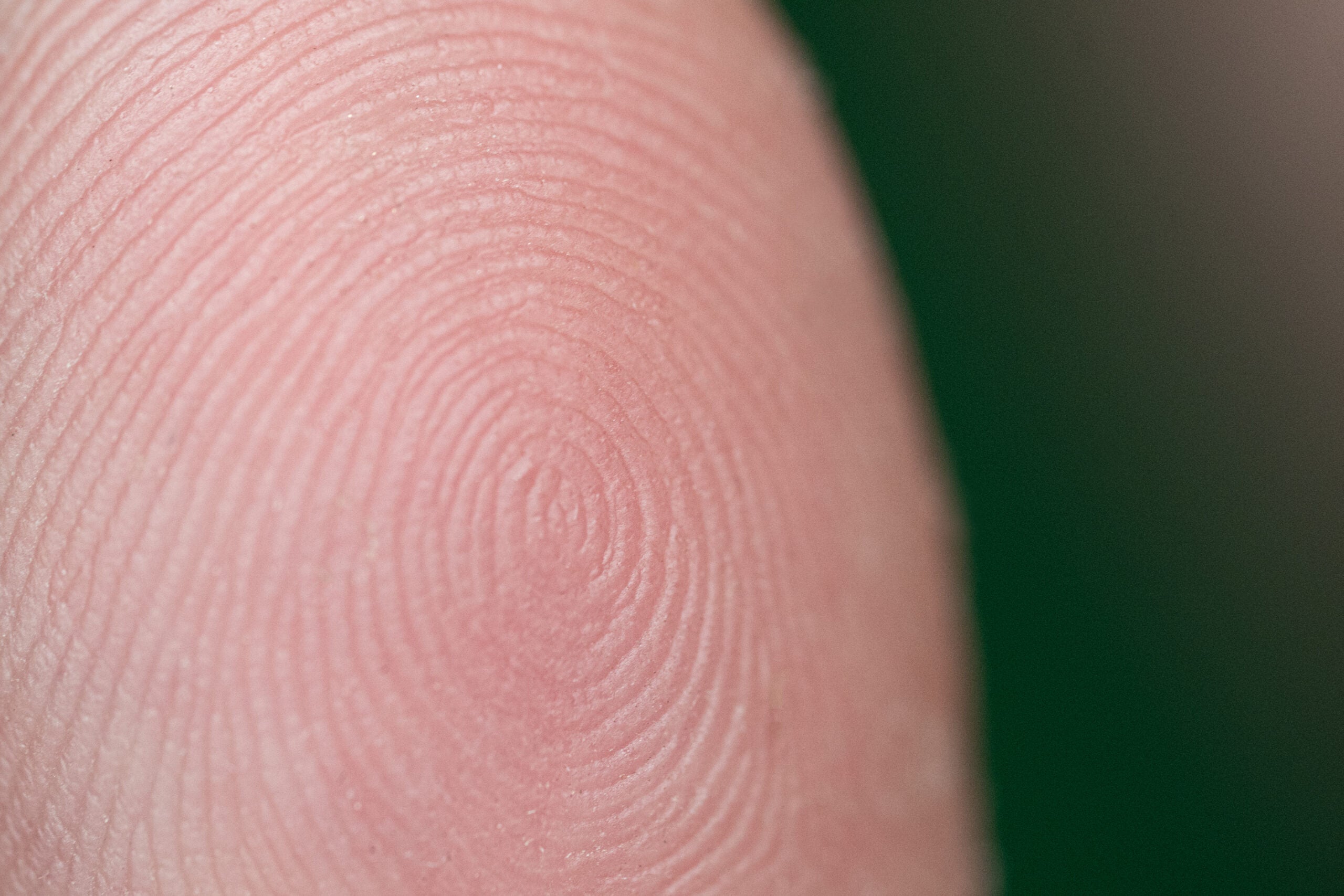 Detail Fingerprint Images Nomer 41