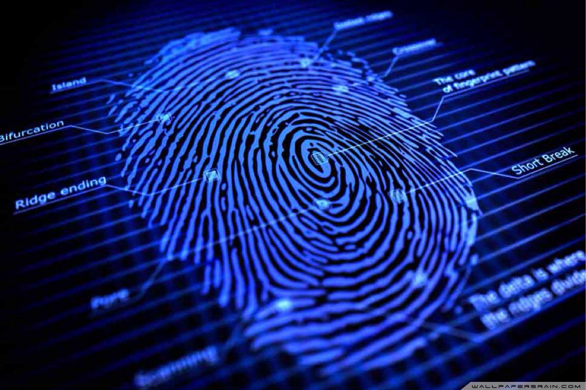 Detail Fingerprint Images Nomer 42