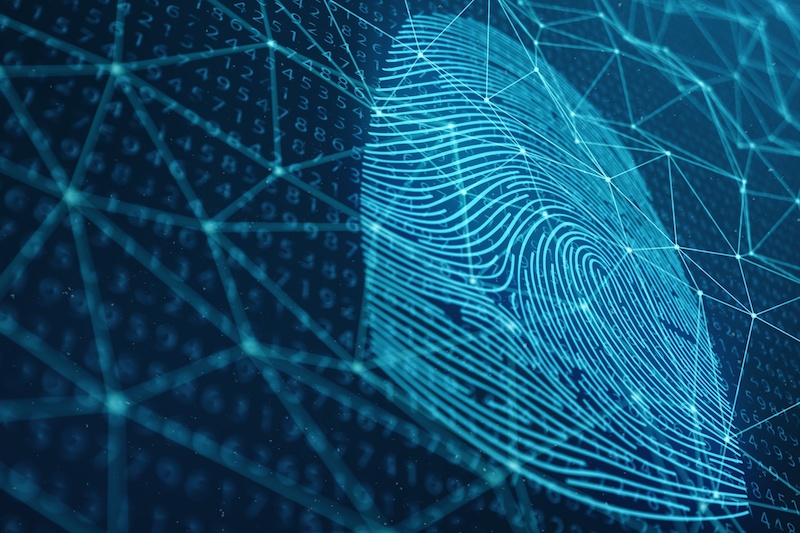 Detail Fingerprint Images Nomer 50