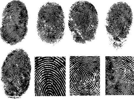 Detail Fingerprint Images Free Nomer 30