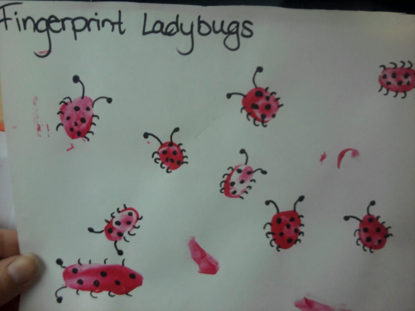 Fingerprint Ladybug - KibrisPDR