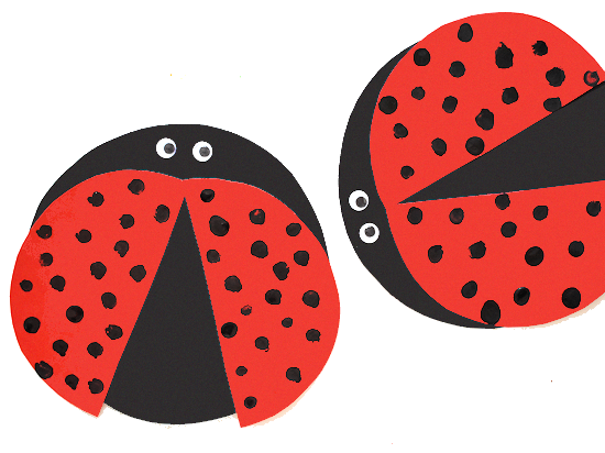 Detail Fingerprint Ladybug Nomer 3