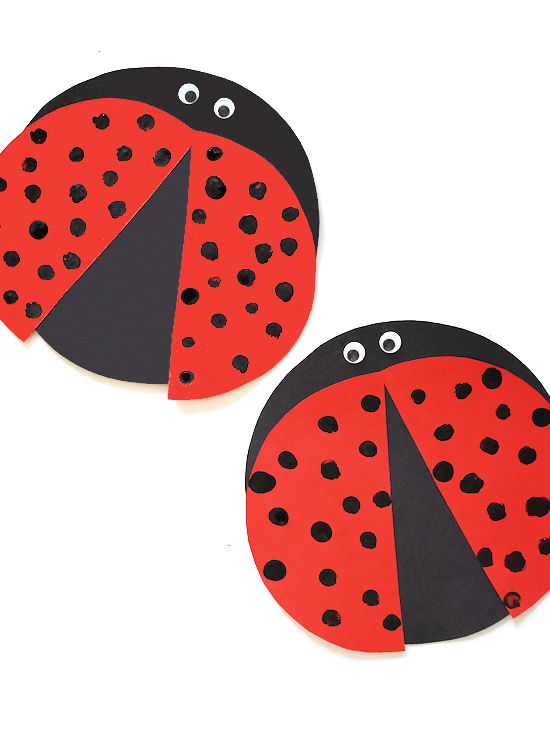 Detail Fingerprint Ladybug Nomer 5