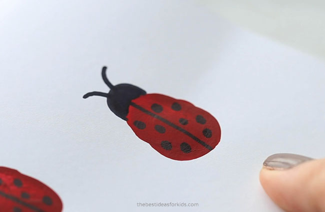 Detail Fingerprint Ladybug Nomer 46