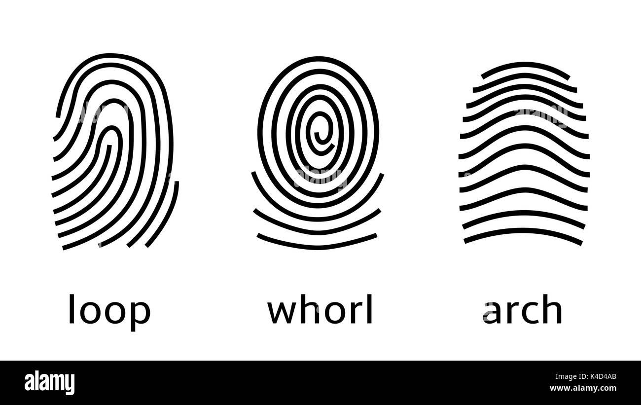 Detail Fingerprint Pic Nomer 11