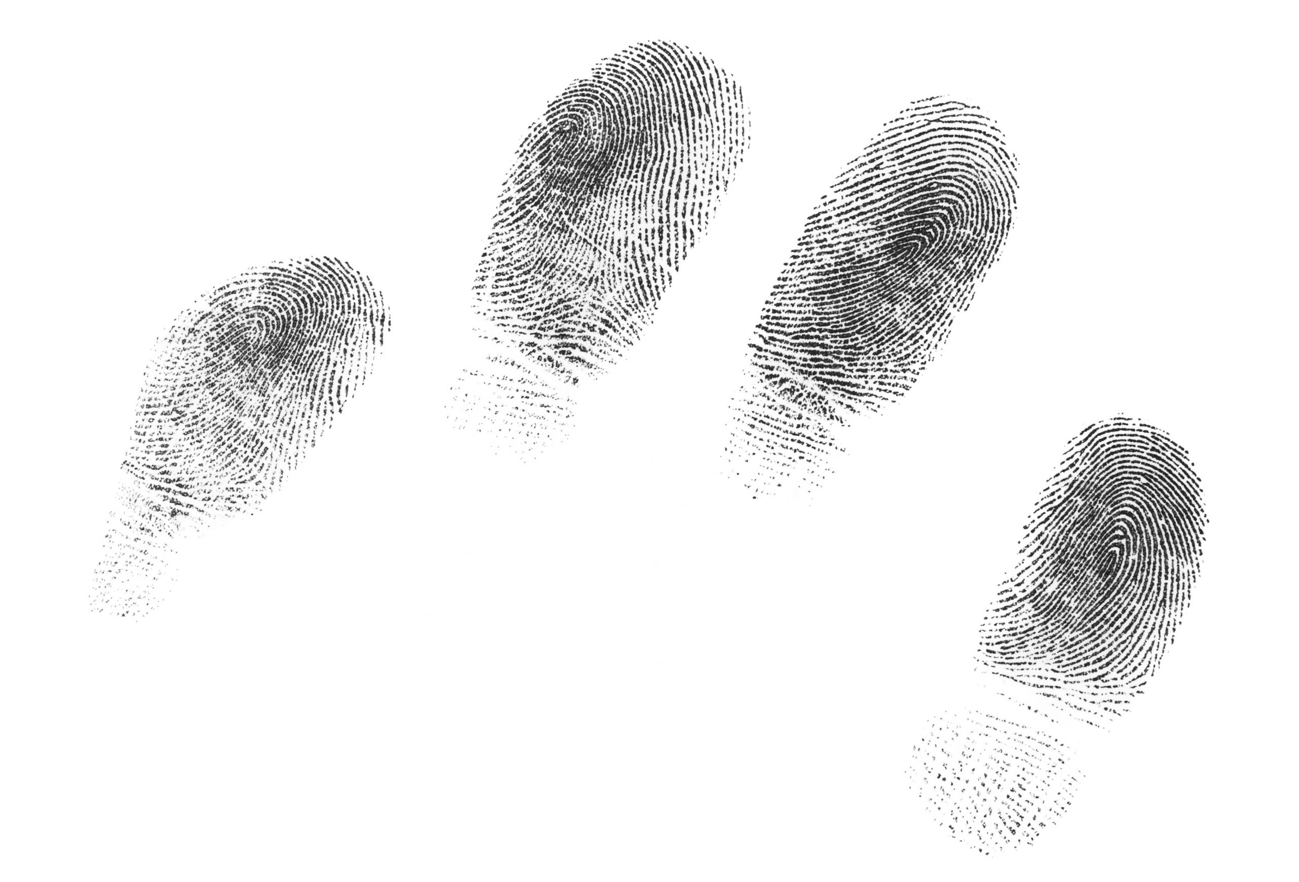 Detail Fingerprint Pic Nomer 21