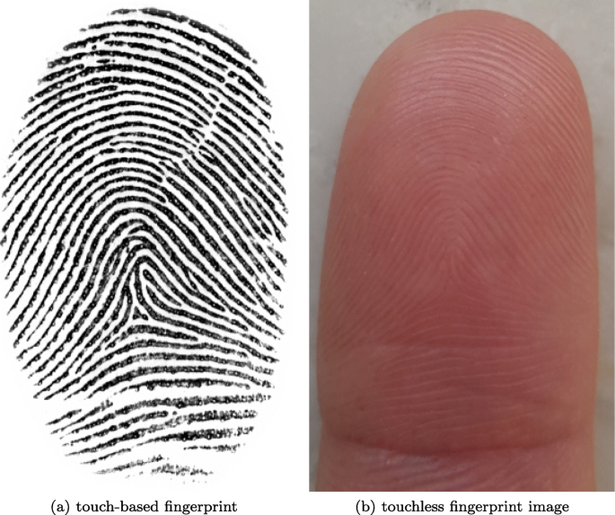 Detail Fingerprint Pic Nomer 24