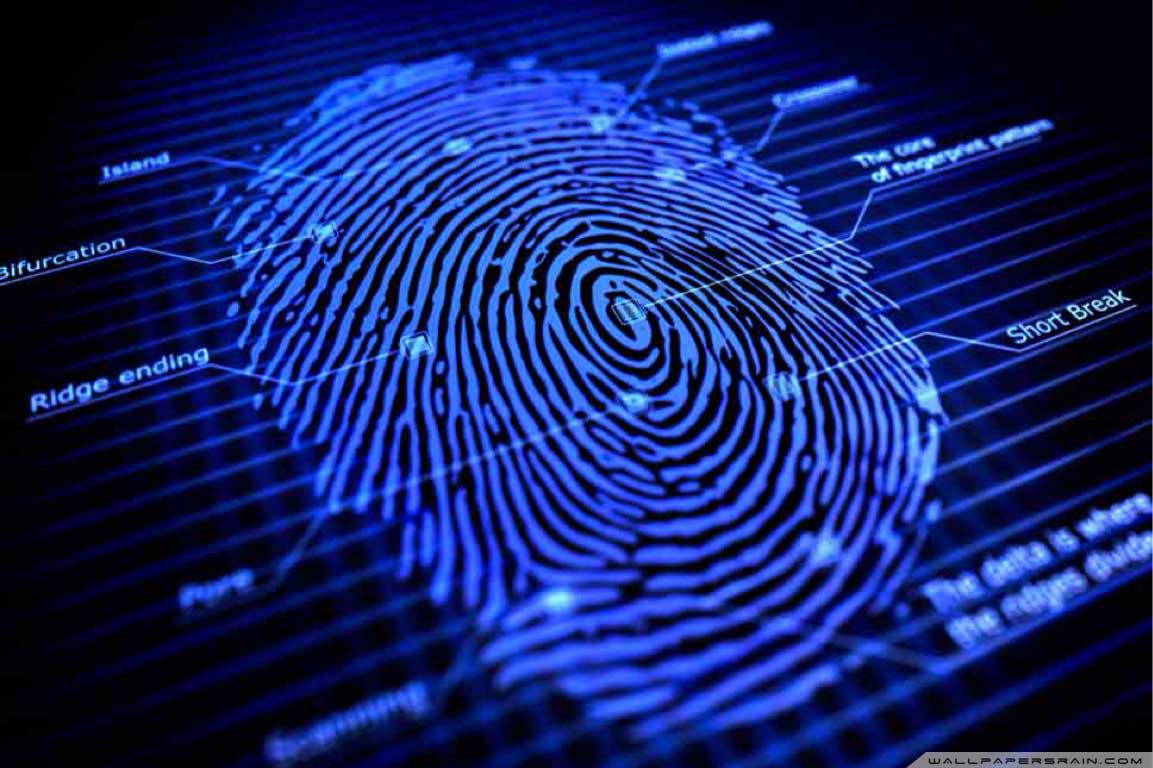 Detail Fingerprint Pic Nomer 35