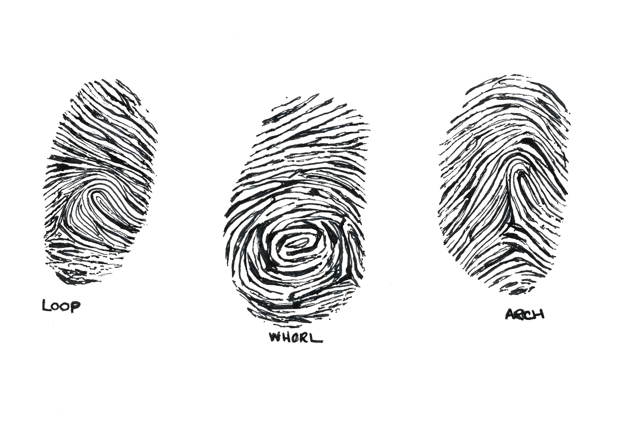 Detail Fingerprint Pic Nomer 52