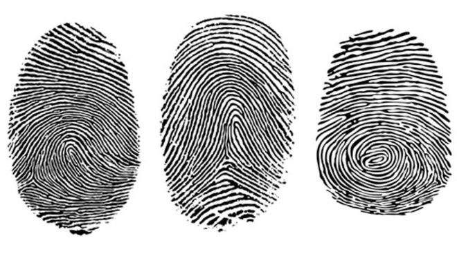 Detail Fingerprint Pictures Nomer 42