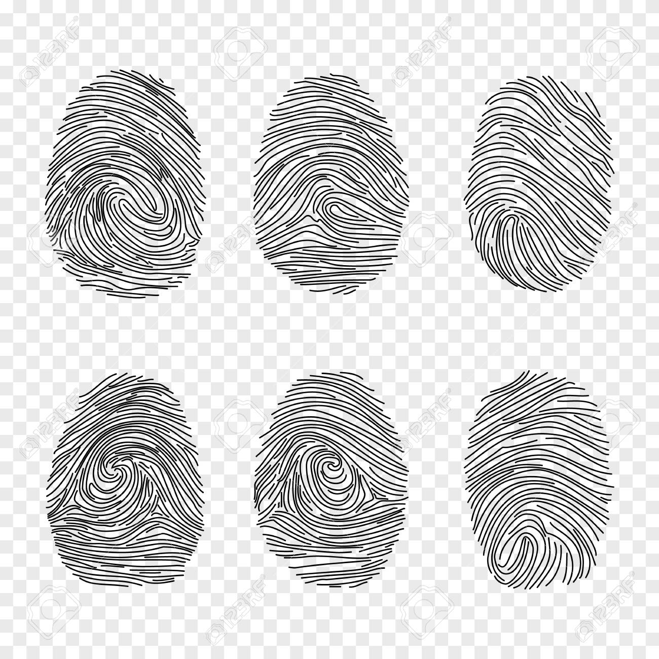 Detail Fingerprint Transparent Nomer 36