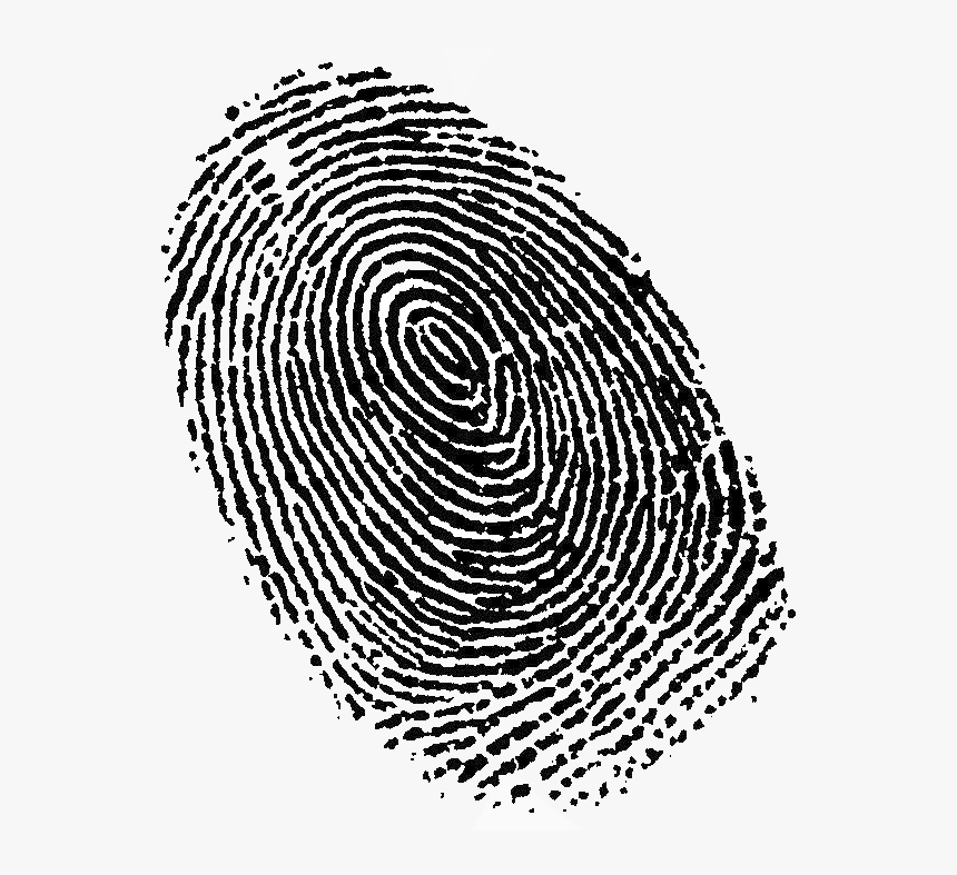 Detail Fingerprint Transparent Nomer 5