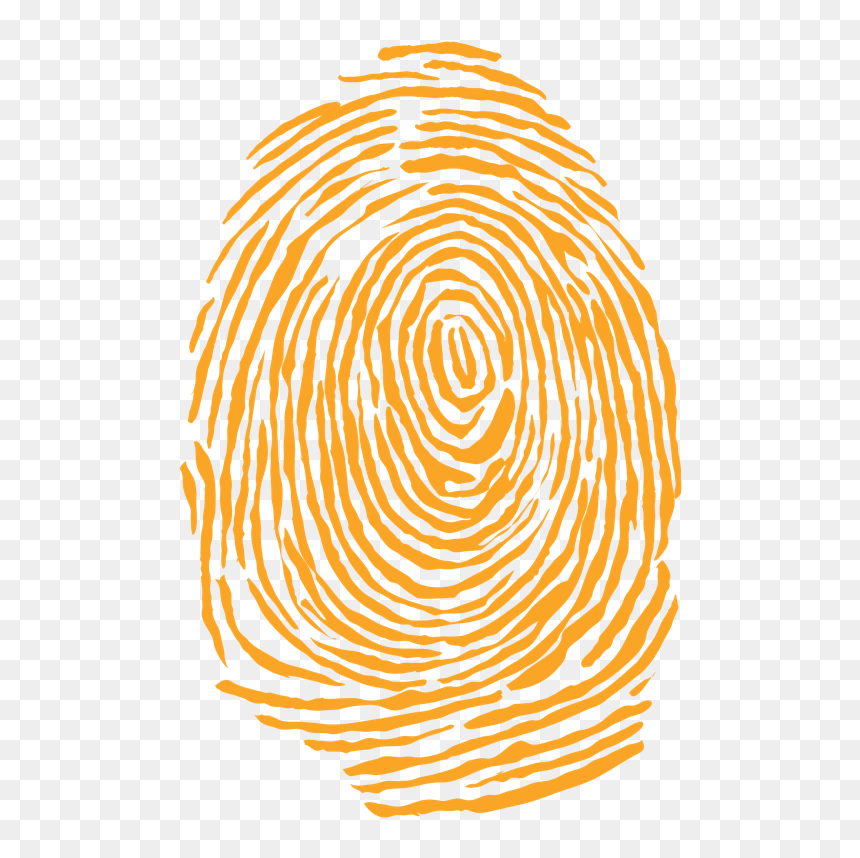 Detail Fingerprint Transparent Nomer 47