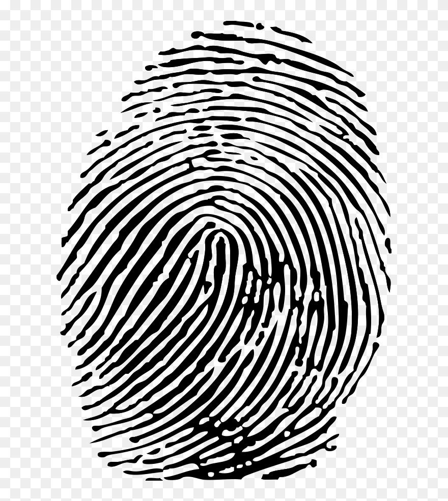 Detail Fingerprint Transparent Png Nomer 2