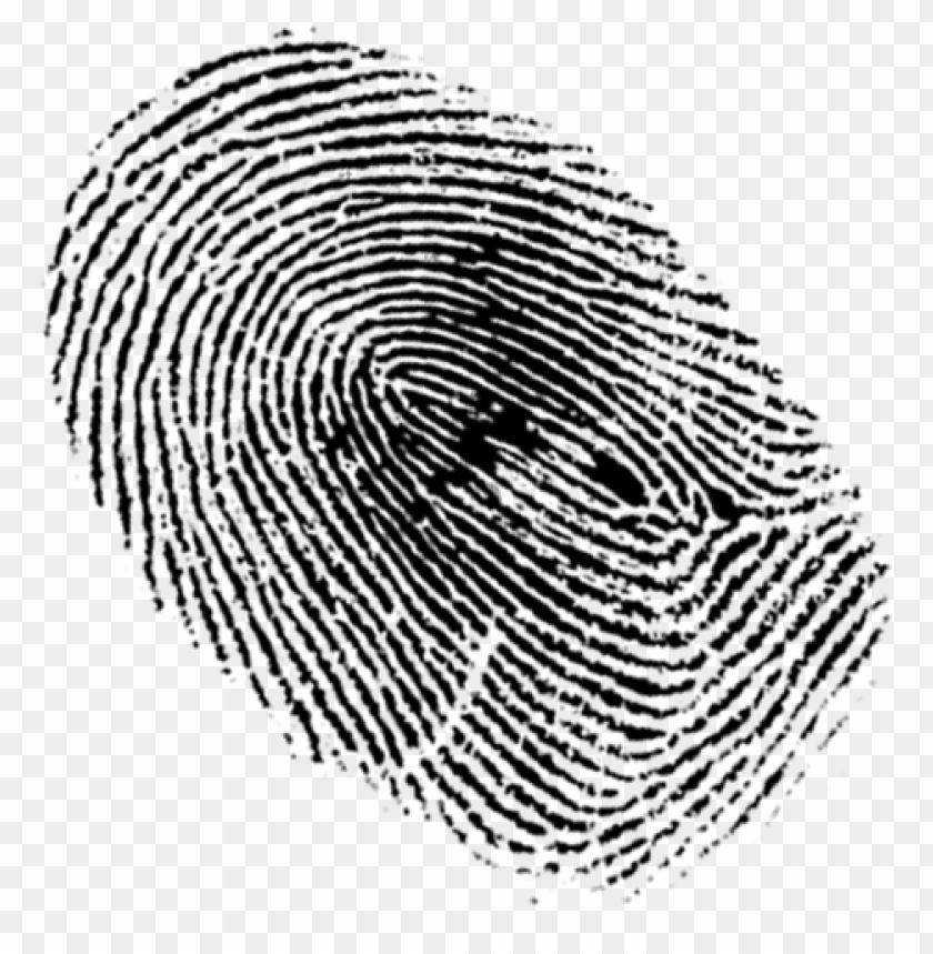 Detail Fingerprint Transparent Png Nomer 17